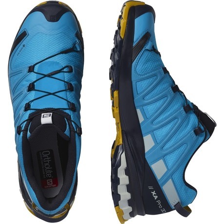 SALOMON Moški tekaški čevlji XA PRO 3D v8 GTX