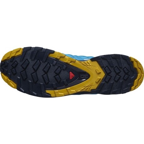 SALOMON Moški tekaški čevlji XA PRO 3D v8 GTX